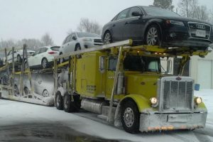 Snow Bird Transport