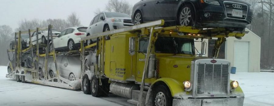 Snow Bird Transport